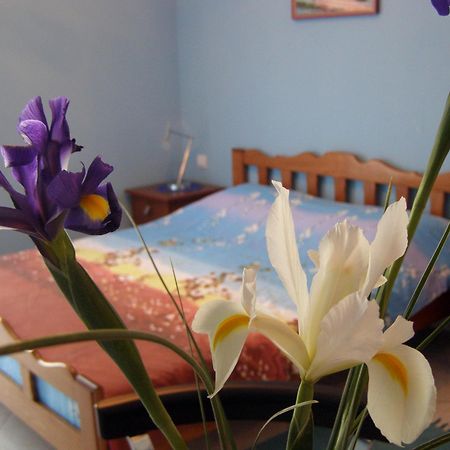 Djurovic Apartments Montenegro Котор Екстериор снимка