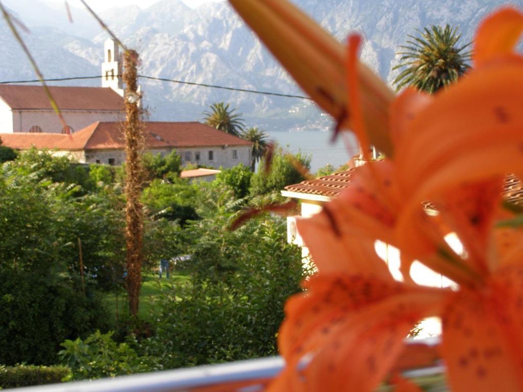 Djurovic Apartments Montenegro Котор Стая снимка